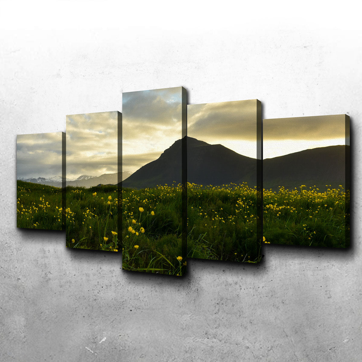 Exquisite Wildflowers Wall Art by Dennis Maida