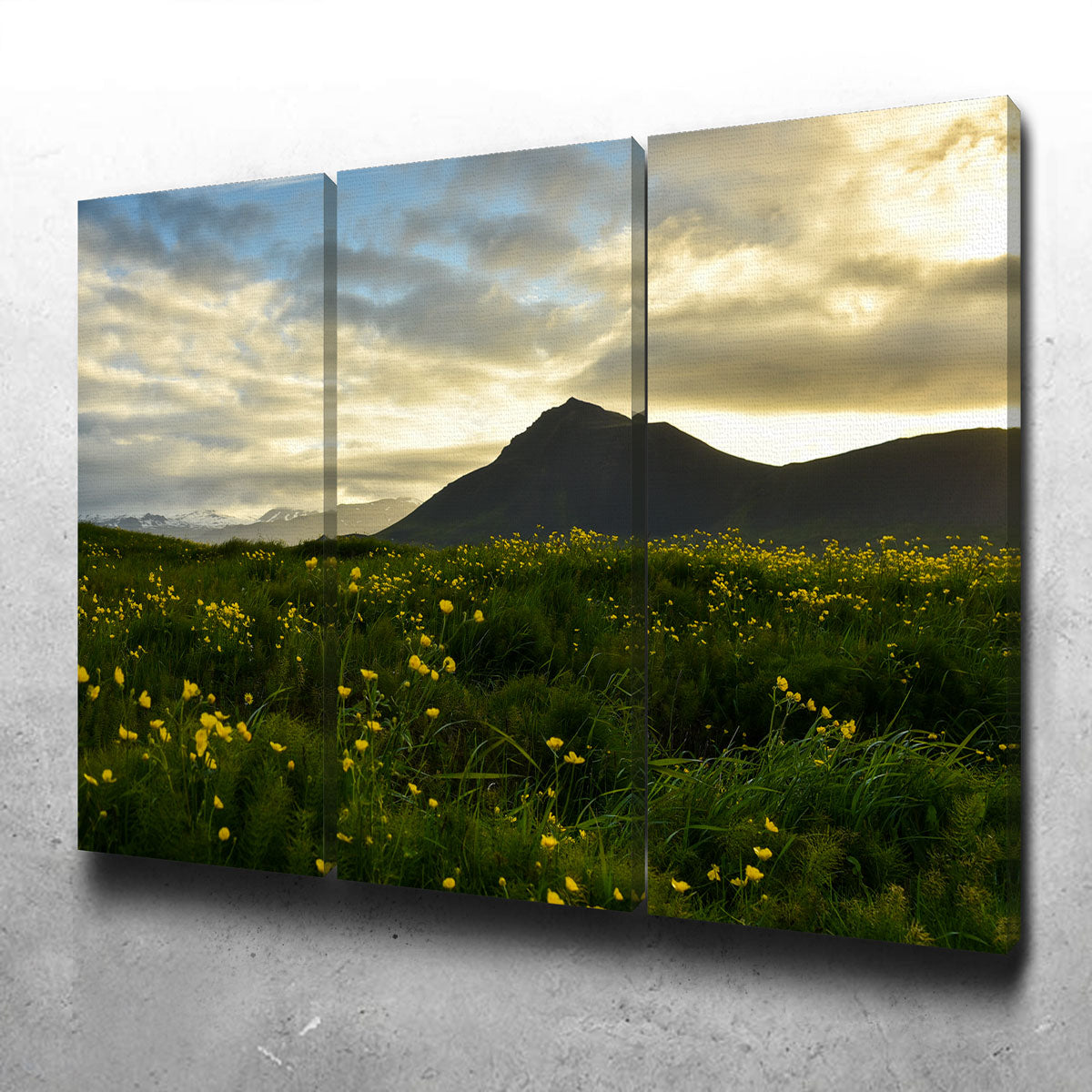 Exquisite Wildflowers Wall Art by Dennis Maida