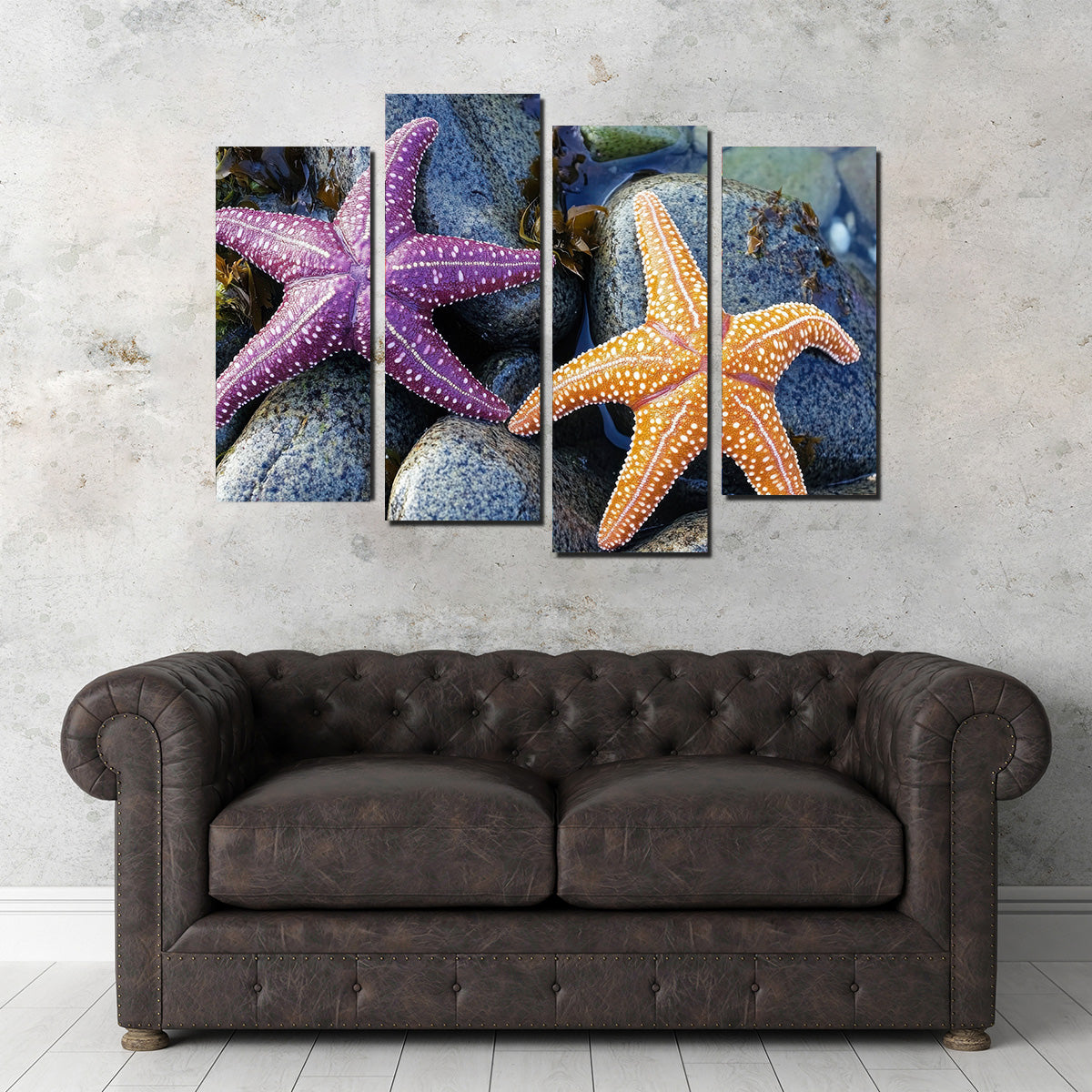 Vibrant Colorful Starfishes Wall Art for Stunning Decor