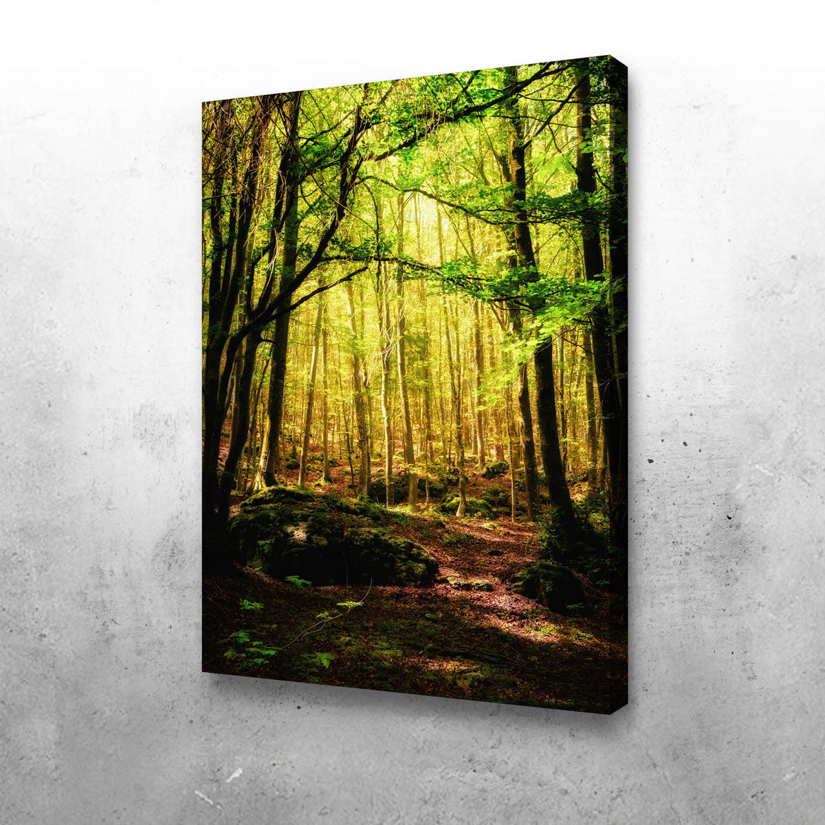 Enchanting Forest Vol. 1 Stunning Wall Art by Stefano Baltieri