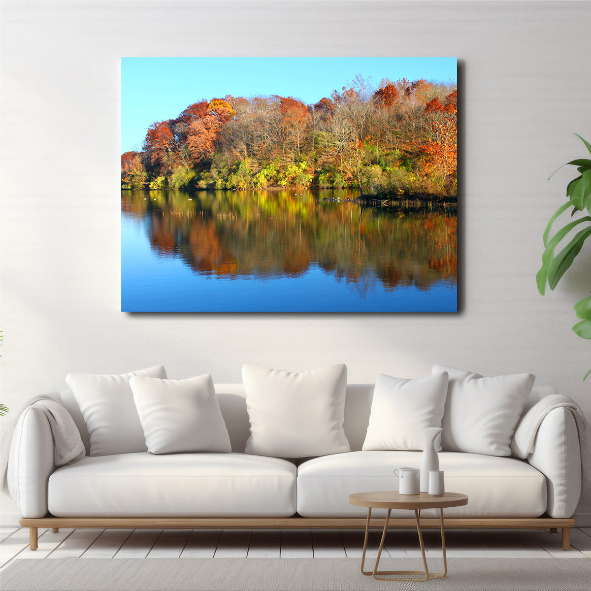 Stunning Kickapoo State Park Wall Art for Your Home Decor