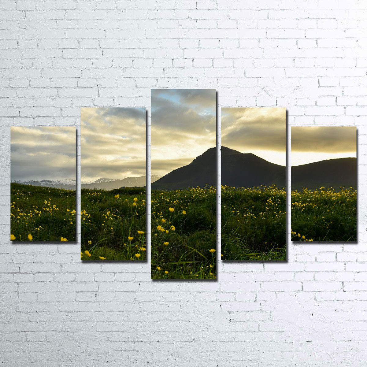 Exquisite Wildflowers Wall Art by Dennis Maida