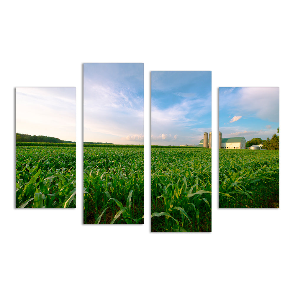 Exquisite Wisconsin Dairy Farm Against Corn Field Wall Art