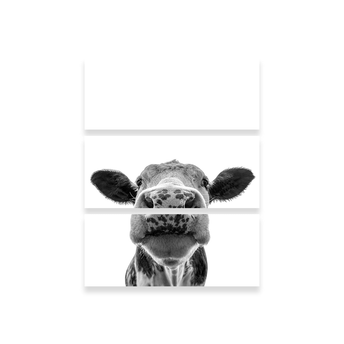 Exquisite Cow Wall Art by Lawisi