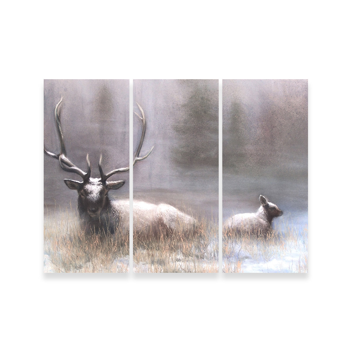 Exquisite Bull Elk & Calf Wall Art by Patricia Jaggie