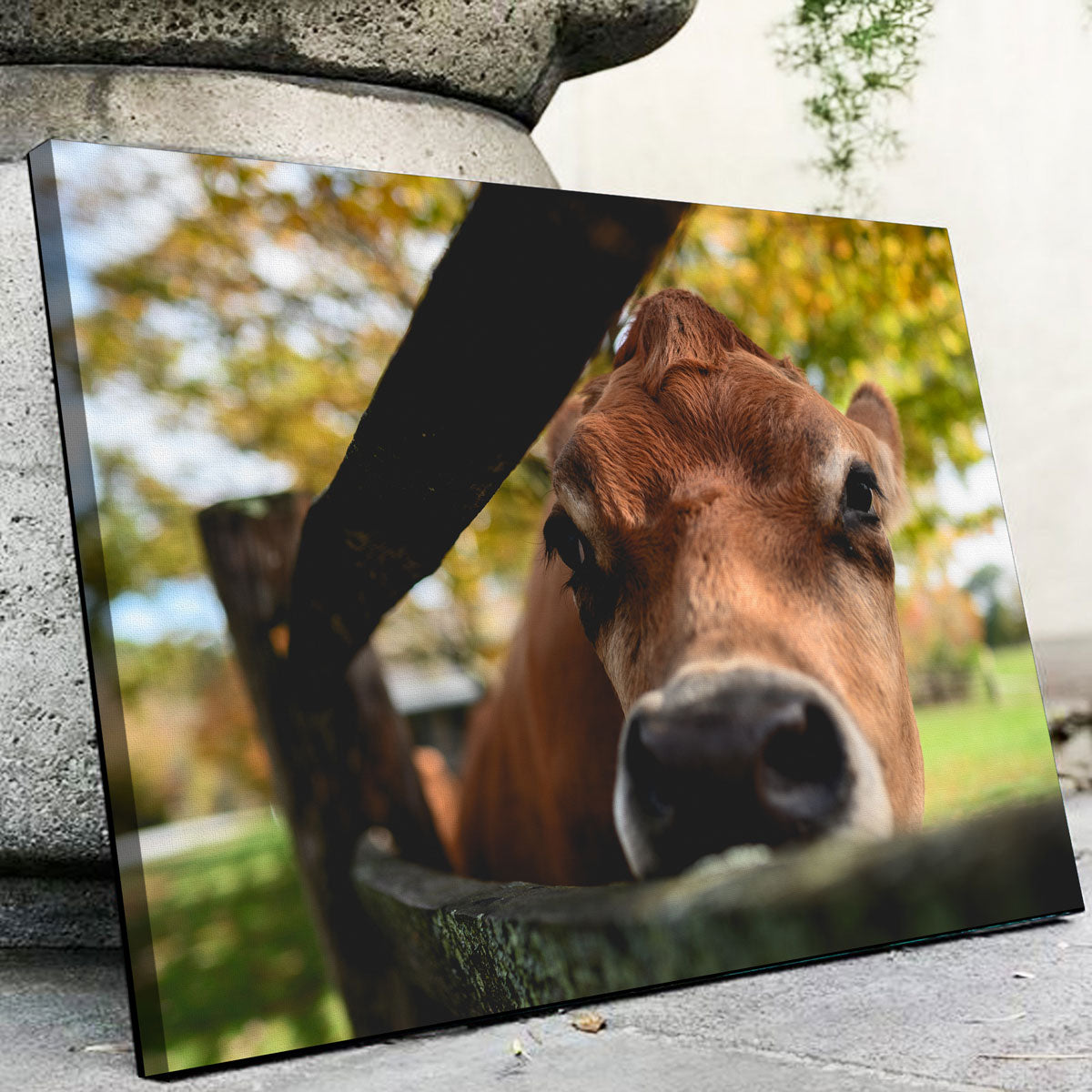 Stunning Farm Life Wall Art by Shaun Mayer
