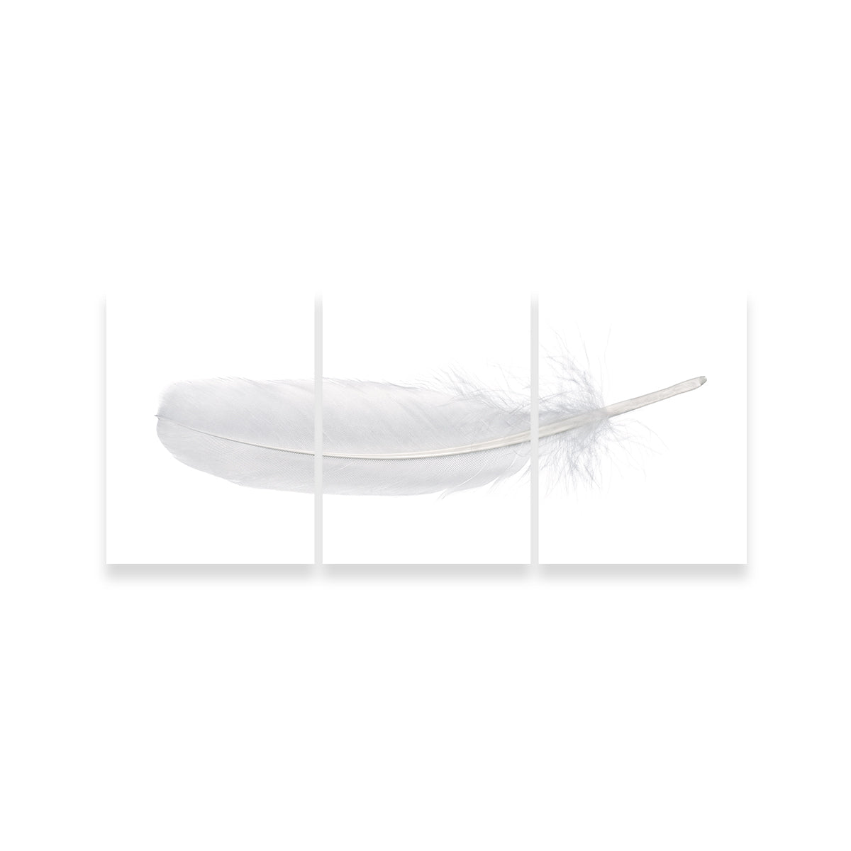 Stunning White Swan Feather Wall Art for Home Decor