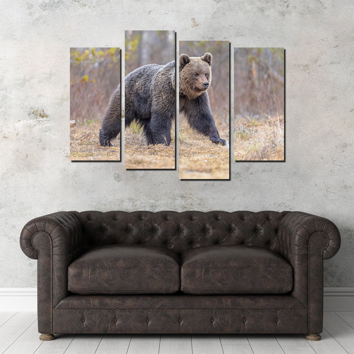 Stunning Eurasian Brown Bear Wall Art for Your Home Decor