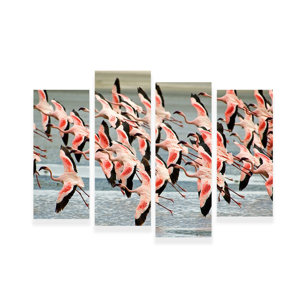 Exquisite Flamingos in Tanzania Wall Art for Your Home Decor
