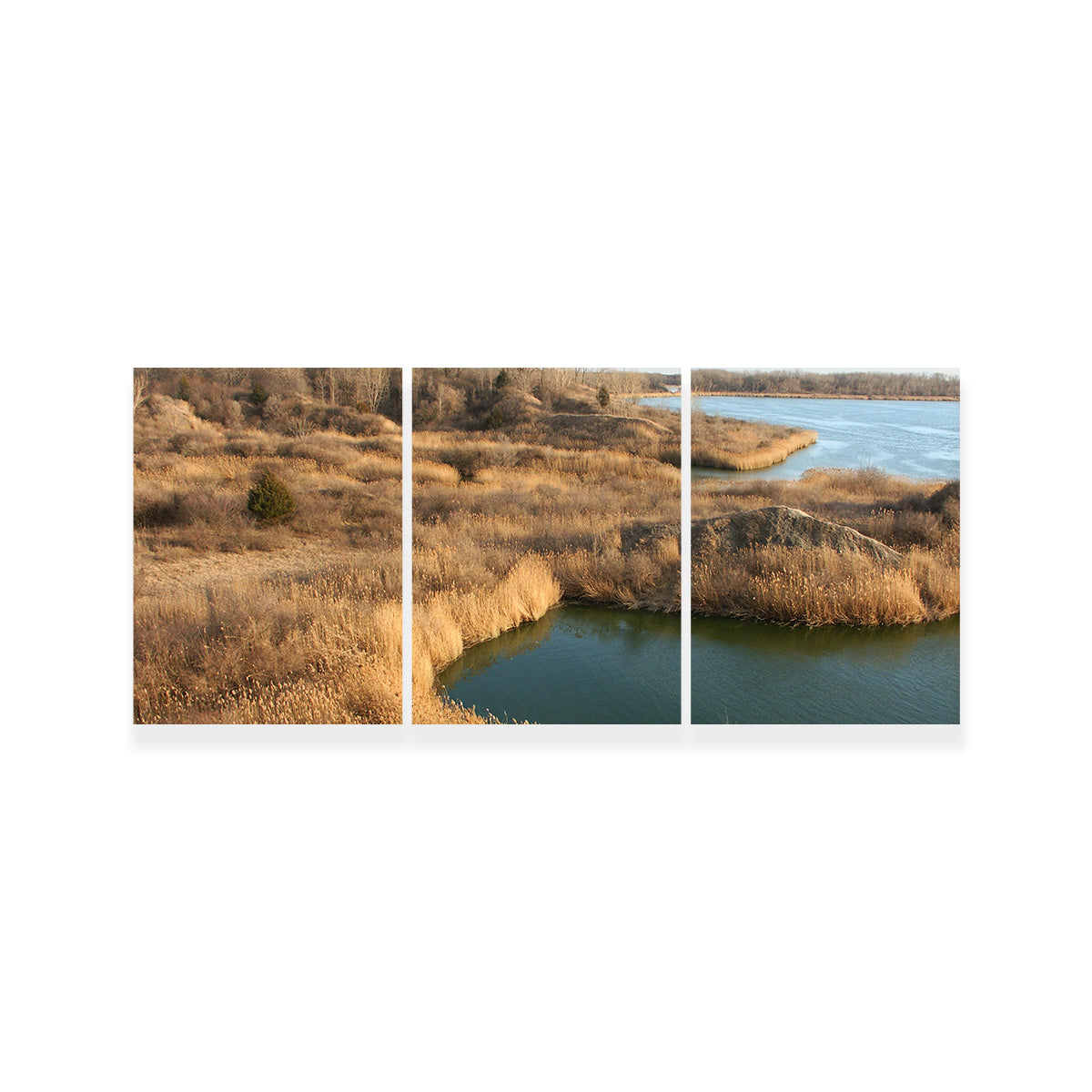 Stunning Mazonia Braidwood State Fish and Wildlife Area Wall Art - Sustainable Pine Frame Canvas