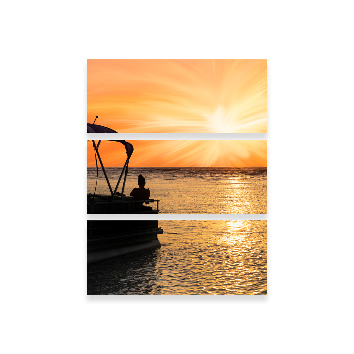 Stunning Watch it Go Wall Art by Eileen Rollin