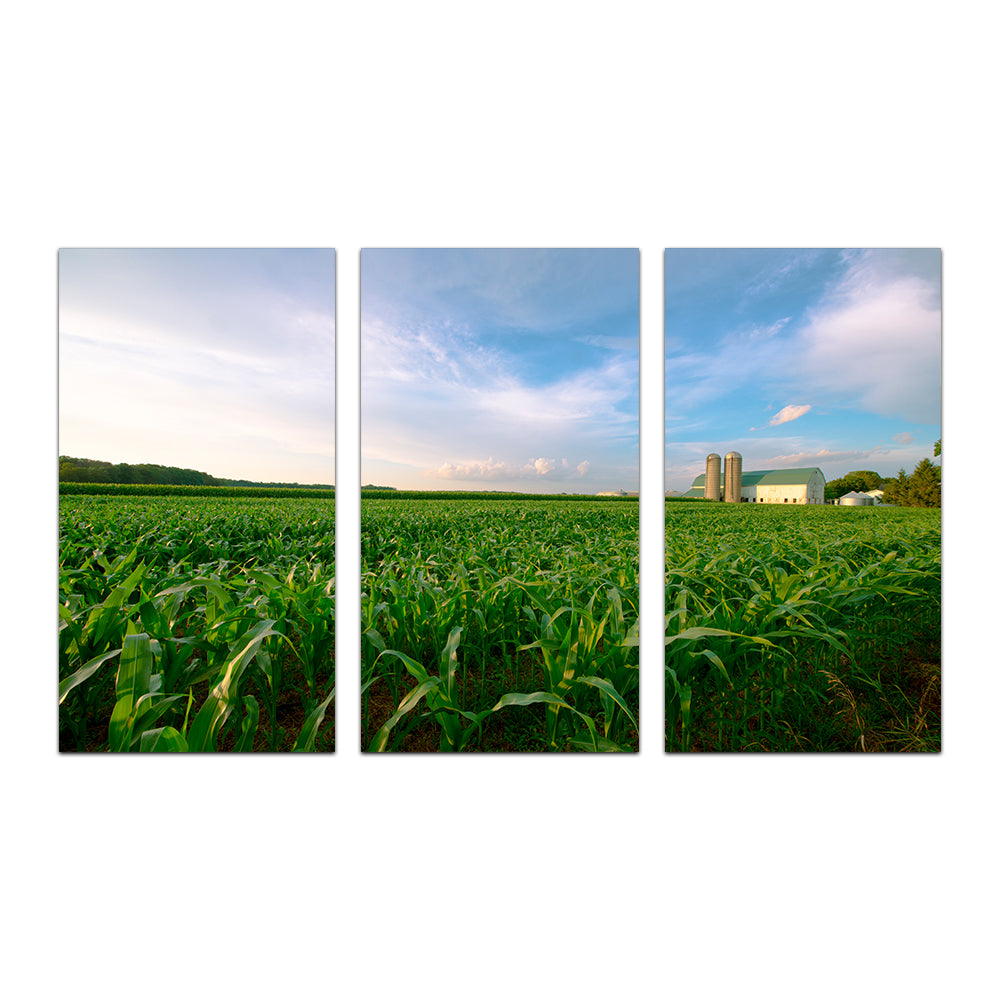 Exquisite Wisconsin Dairy Farm Against Corn Field Wall Art