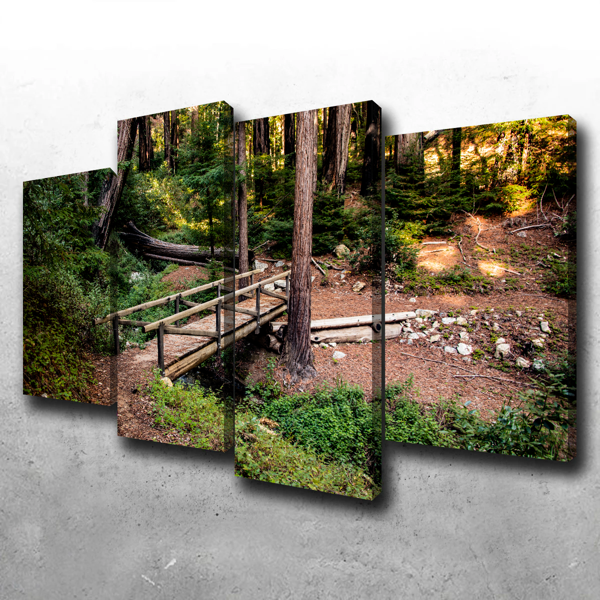 Stunning Ewoldsen Loop Bridge Wall Art by Kyle Sherry