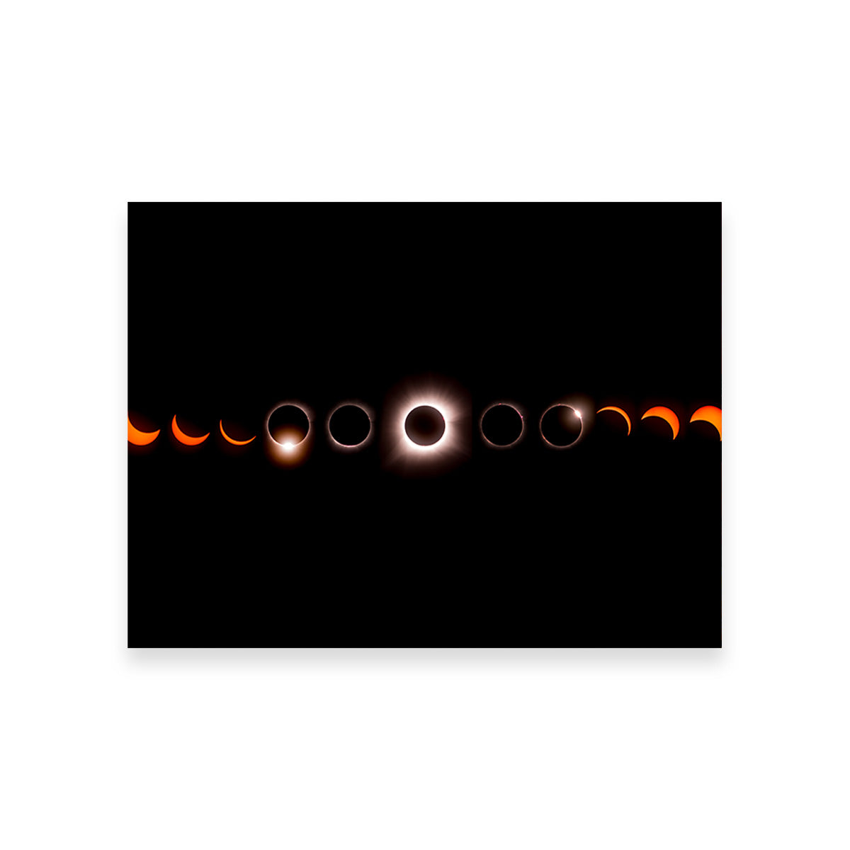 Cosmic Totality - Stunning Artwork by Sofia Leite Fonseca