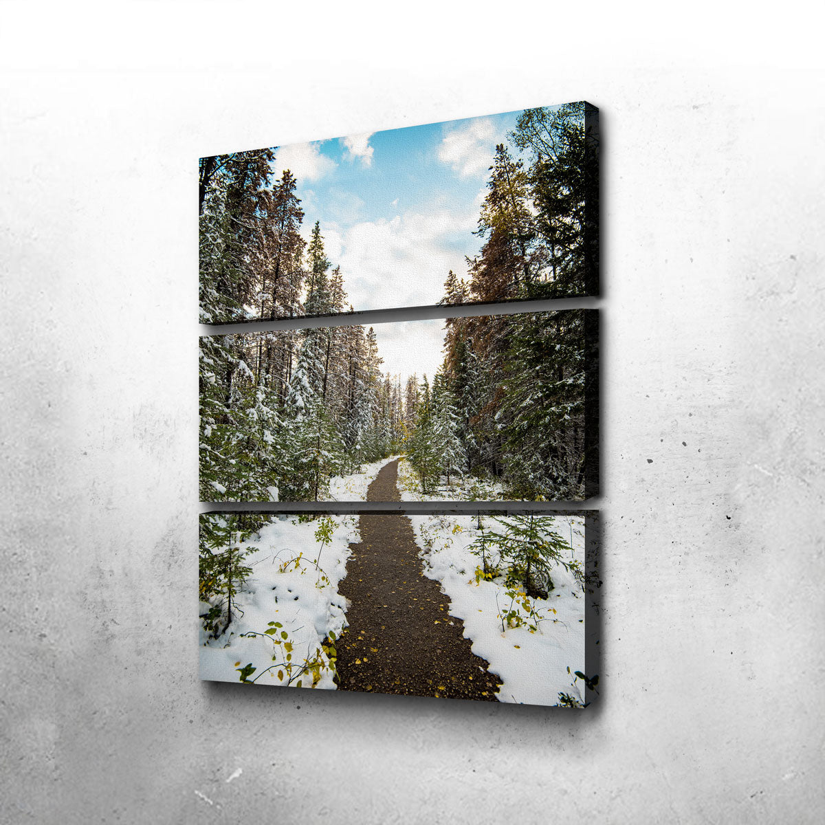 Stunning Winter Path Wall Art by Lucas Moore
