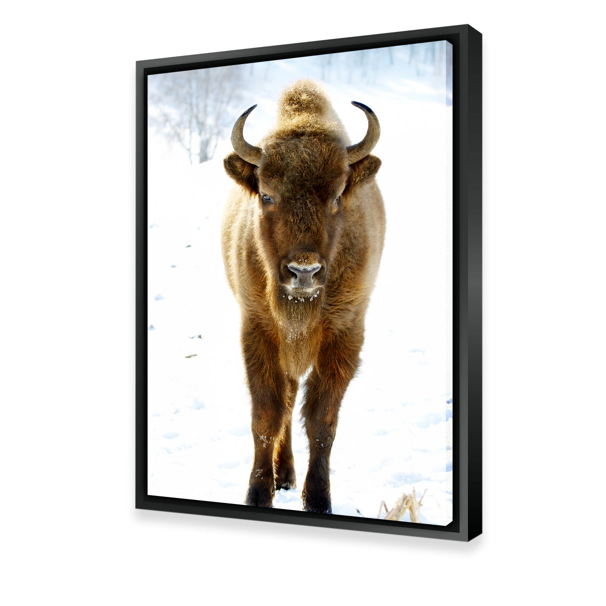 Exquisite European Bison Wall Art for Home Decor