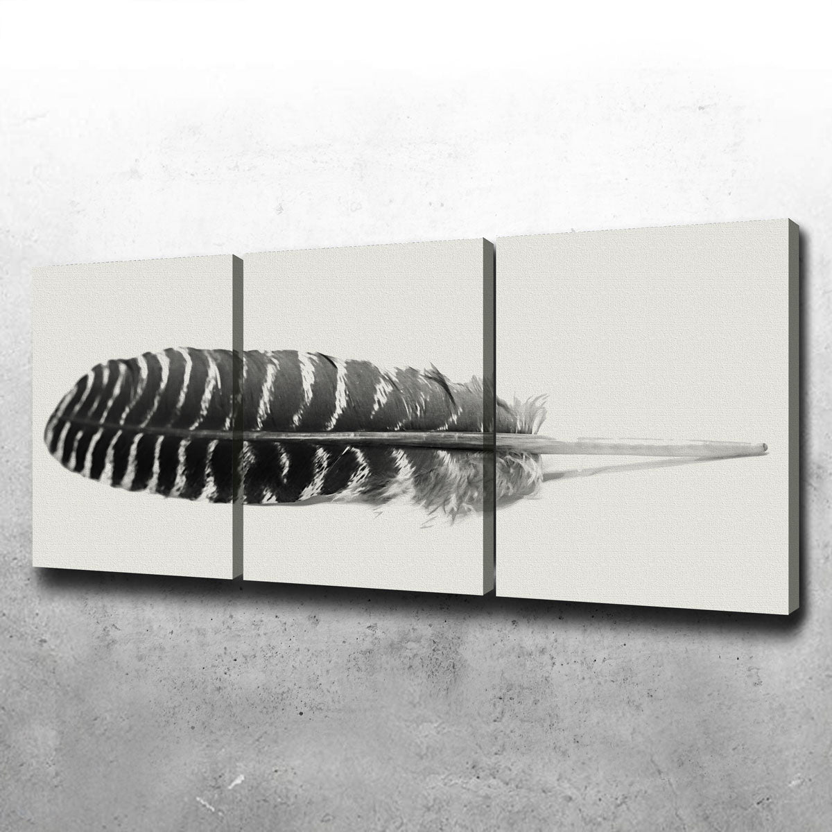 Exquisite Falcon Feather 3 Piece Wall Art for Stunning Decor