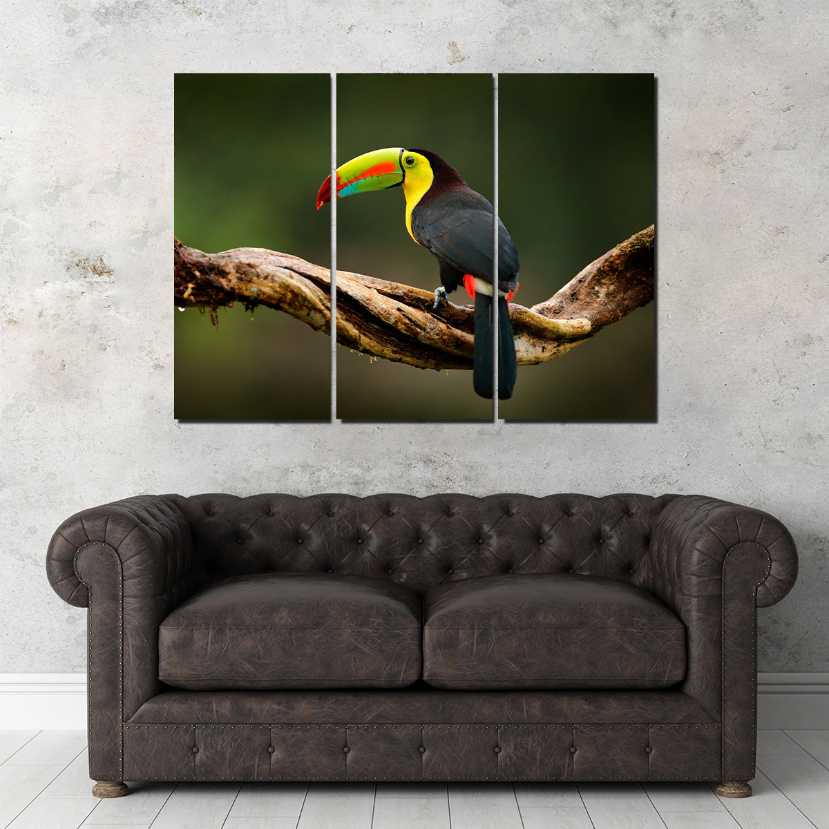 Exquisite Keel - billed Toucan Wall Art for Stunning Home Decor