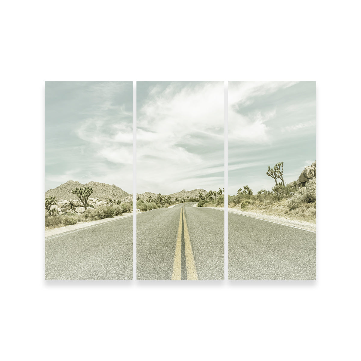 Stunning Joshua Trees Park Boulevard Wall Art by Melanie Viola