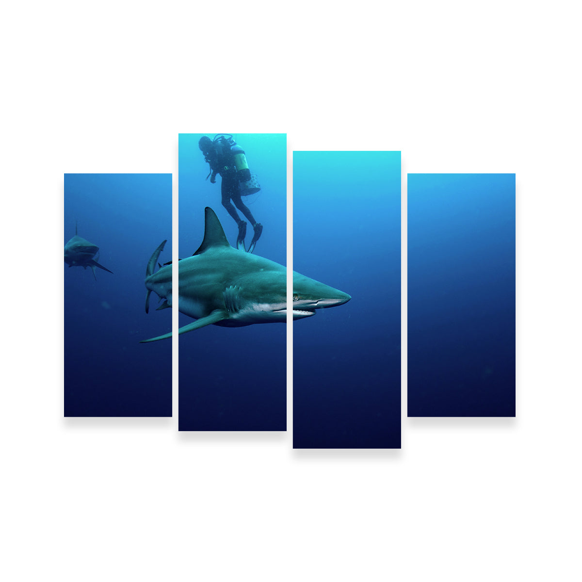 Stunning Bull Shark & Diver Wall Art for Your Home Decor