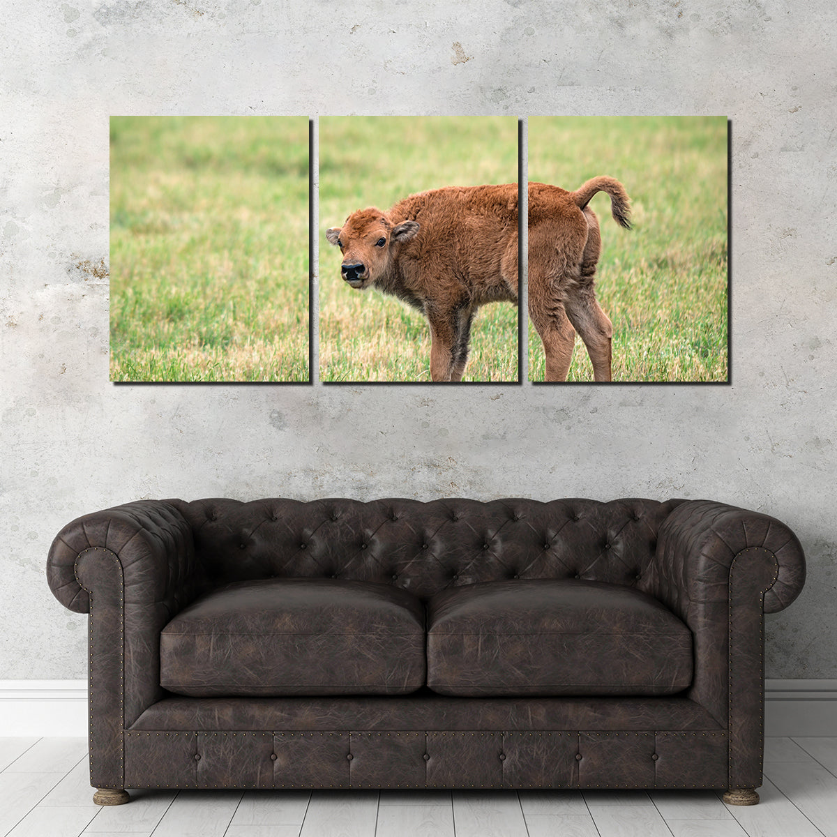 Exquisite Buffalo Calf Wall Art for Home Decor