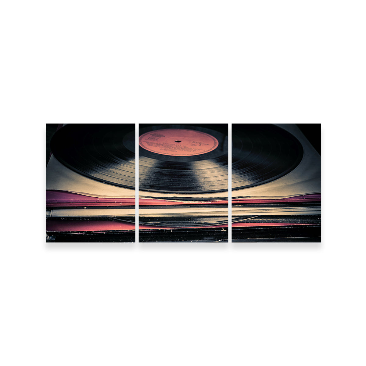High - Quality Vinyl Records with Museum - Grade Canvas