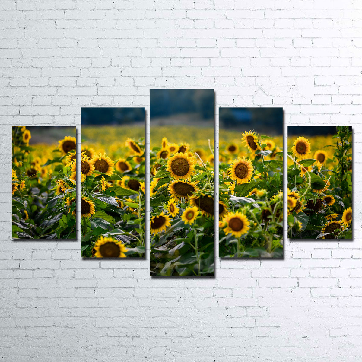 Stunning Sunflower Field Wall Art by Lucas Moore