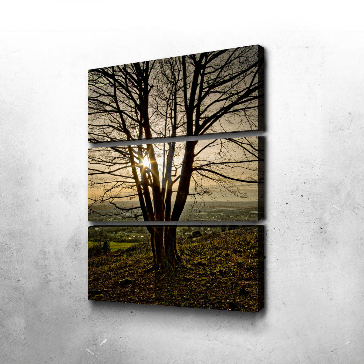 Stunning Box Hill Sunset Wall Art by Mike Cotton