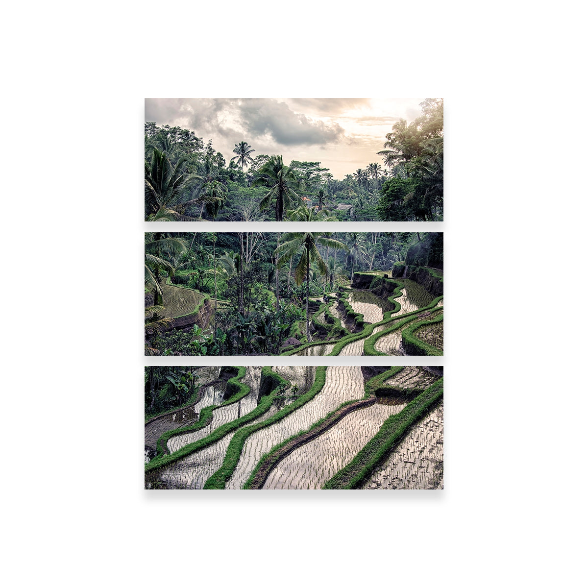 Stunning Ubud Countryside Wall Art for Your Home Decor