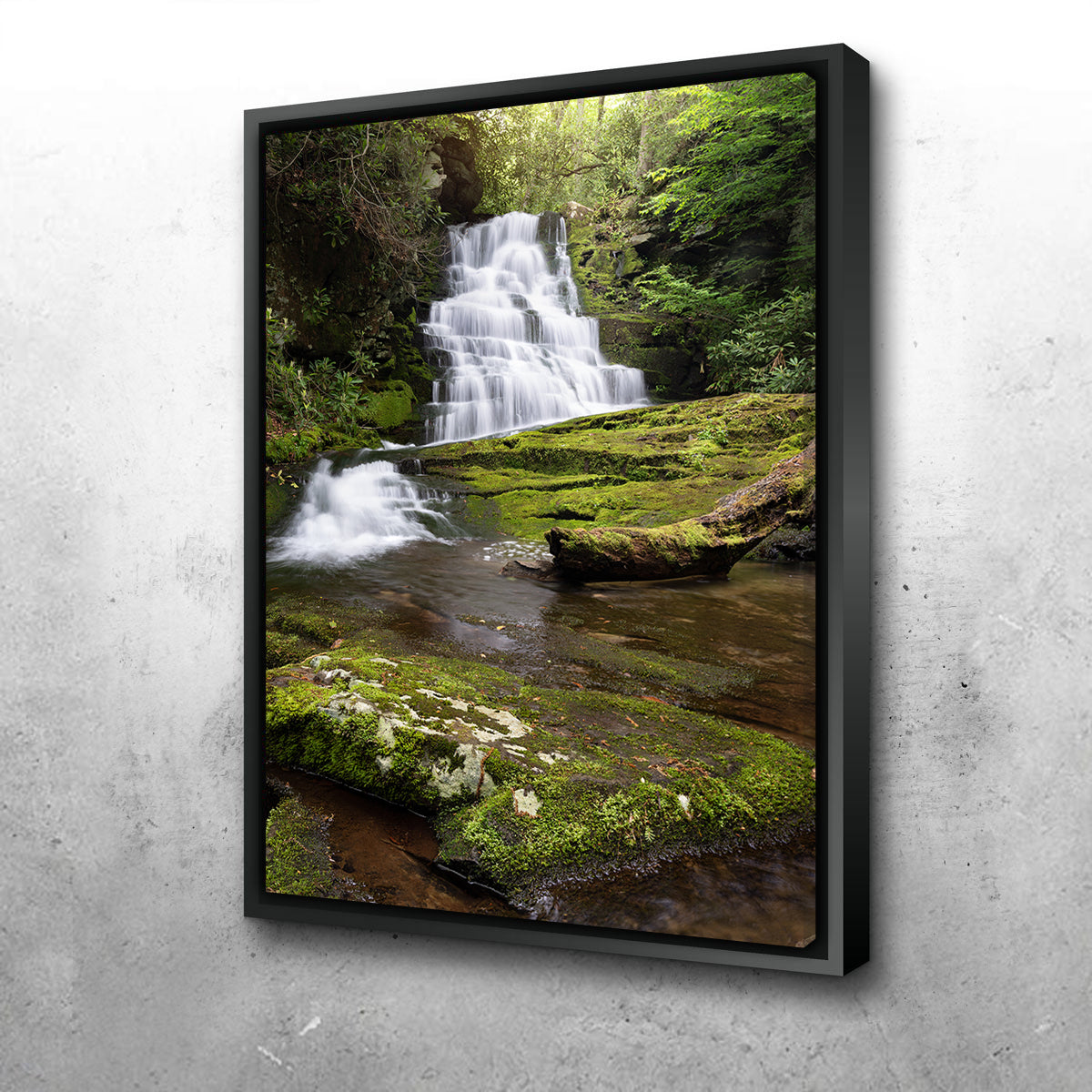 Whiplash Falls Stunning Wall Art by Shaun Mayer