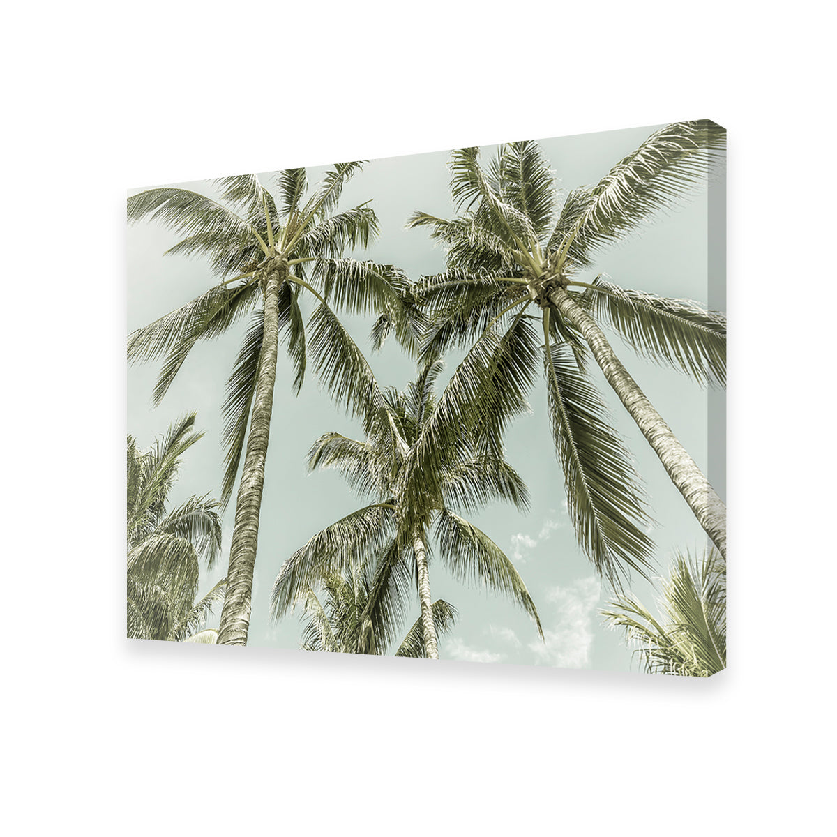 Exquisite Vintage Palm Trees Wall Art by Melanie Viola
