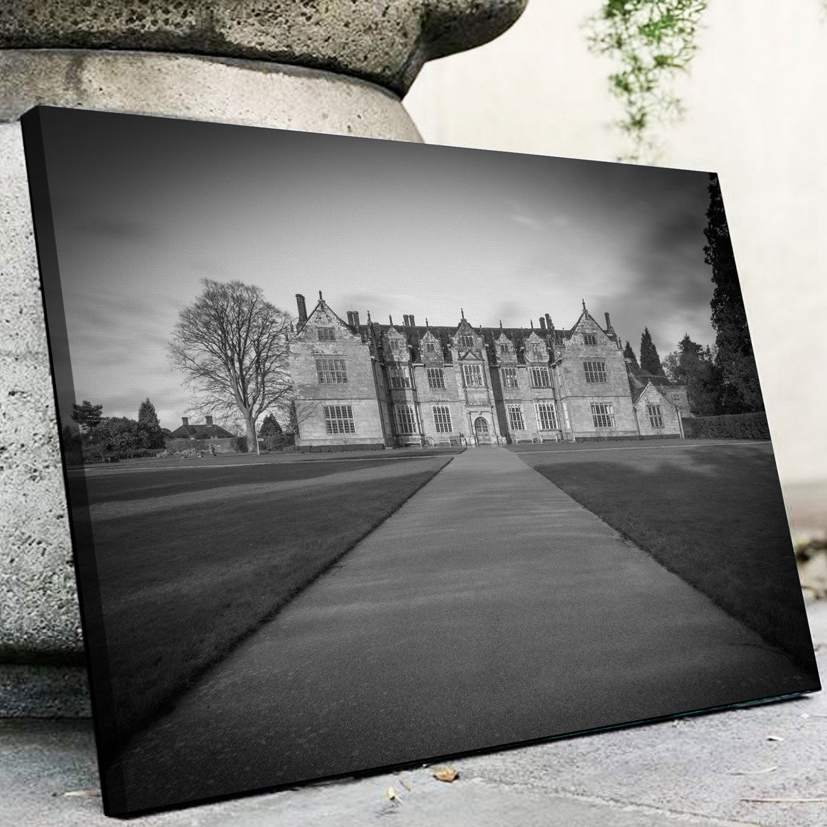 Exquisite Wakehurst Place Wall Art by Mike Cotton