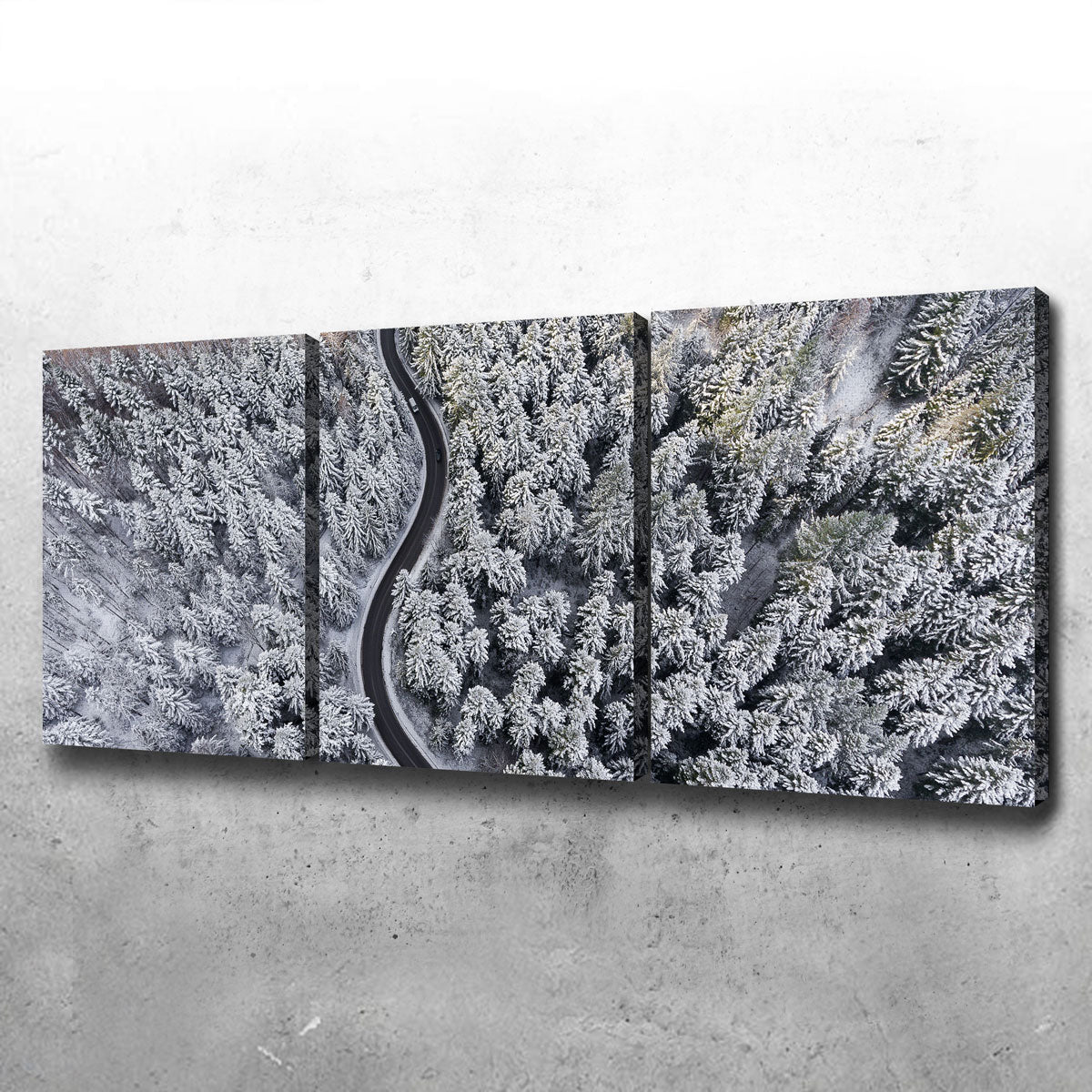 Enchanting Winding Winter Wall Art by Karolis Janulis