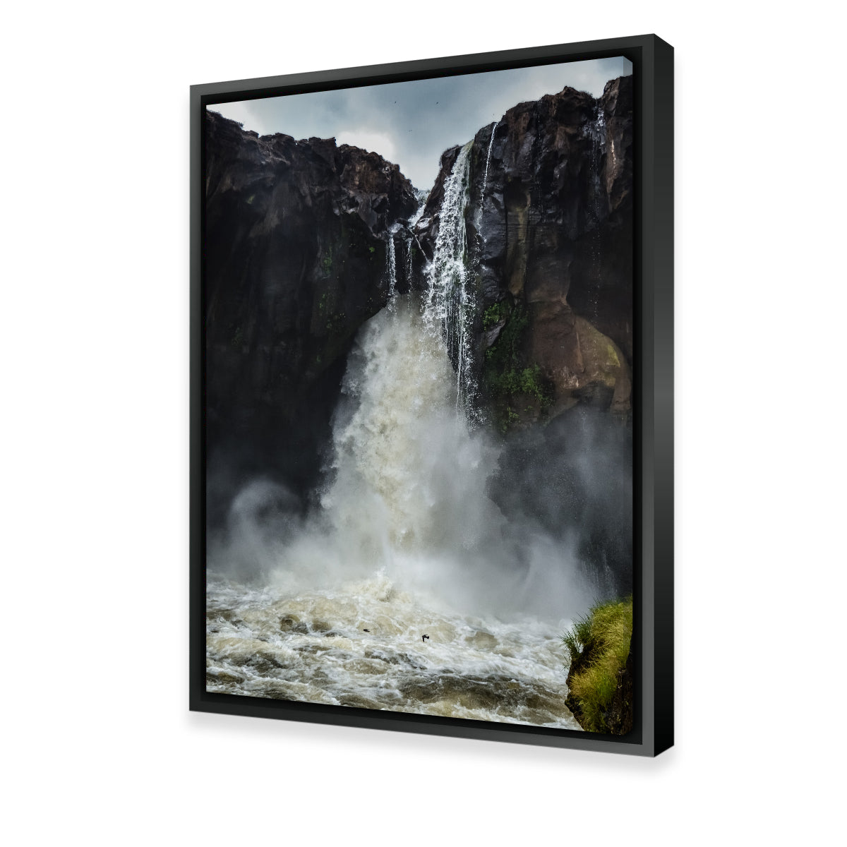 Stunning Fearless Birds Wall Art at Prata Waterfall by Sofia Leite Fonseca