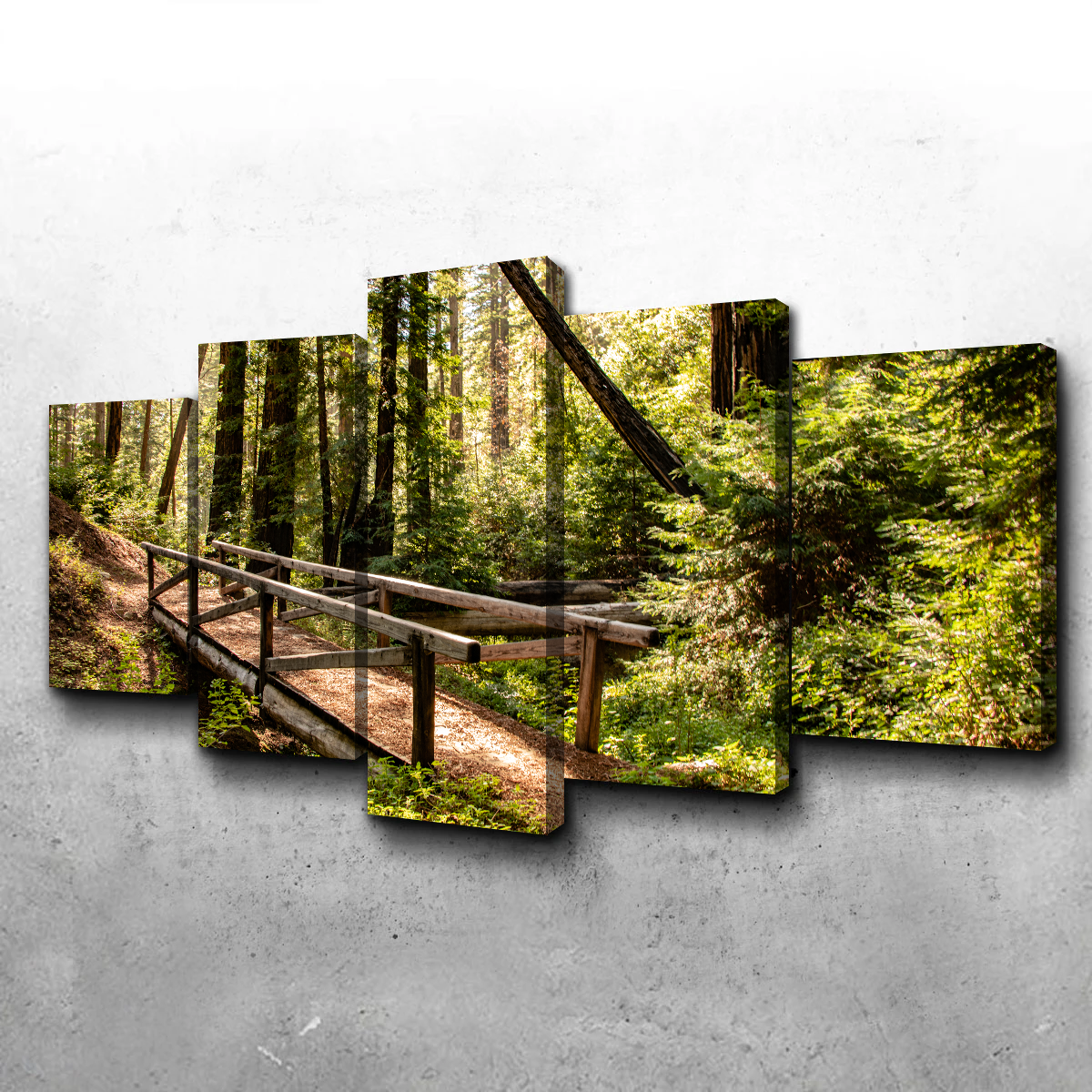 Stunning Ewoldsen Trail Bridge Wall Art by Kyle Sherry