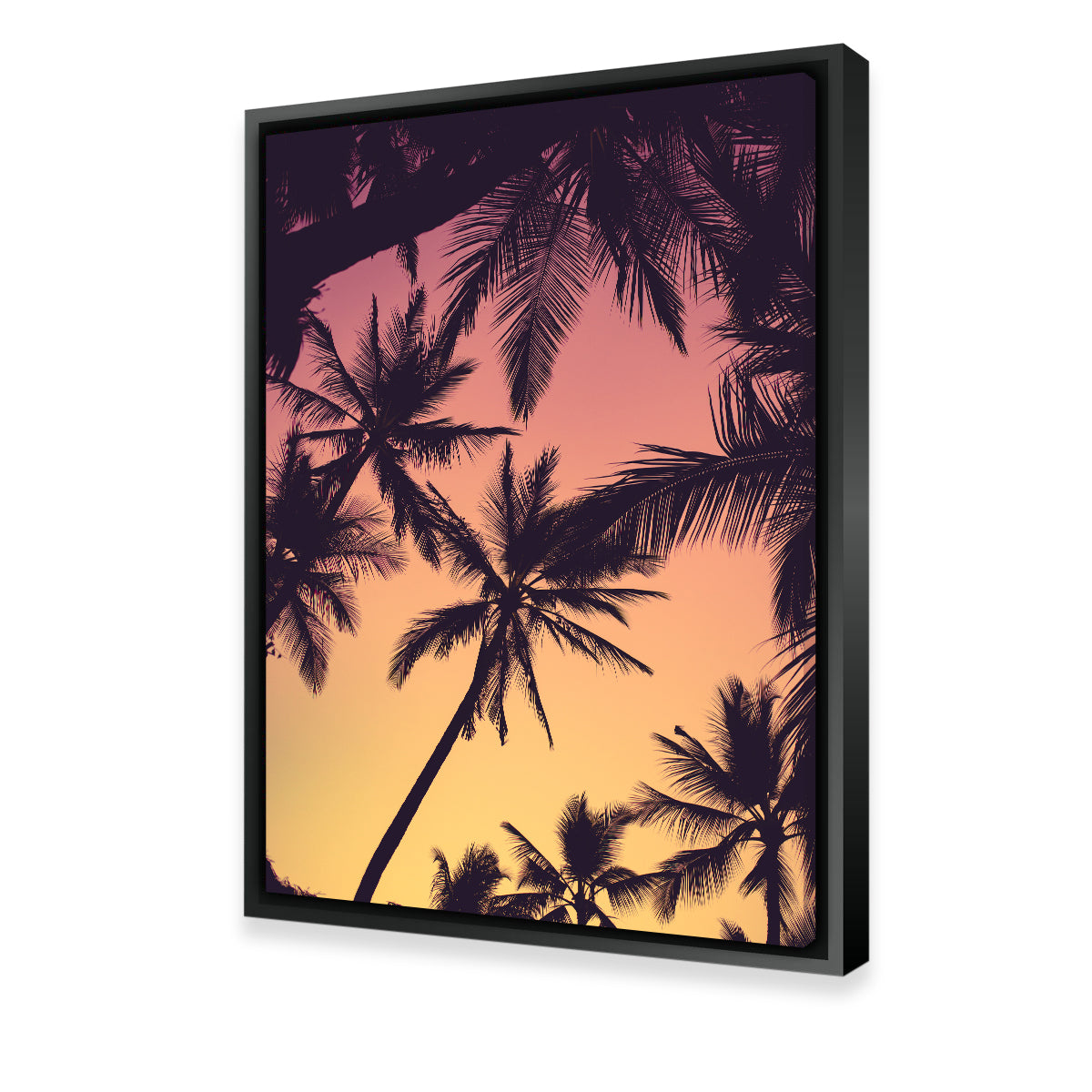 Exquisite Tropical Palms Wall Art by Lucas Moore