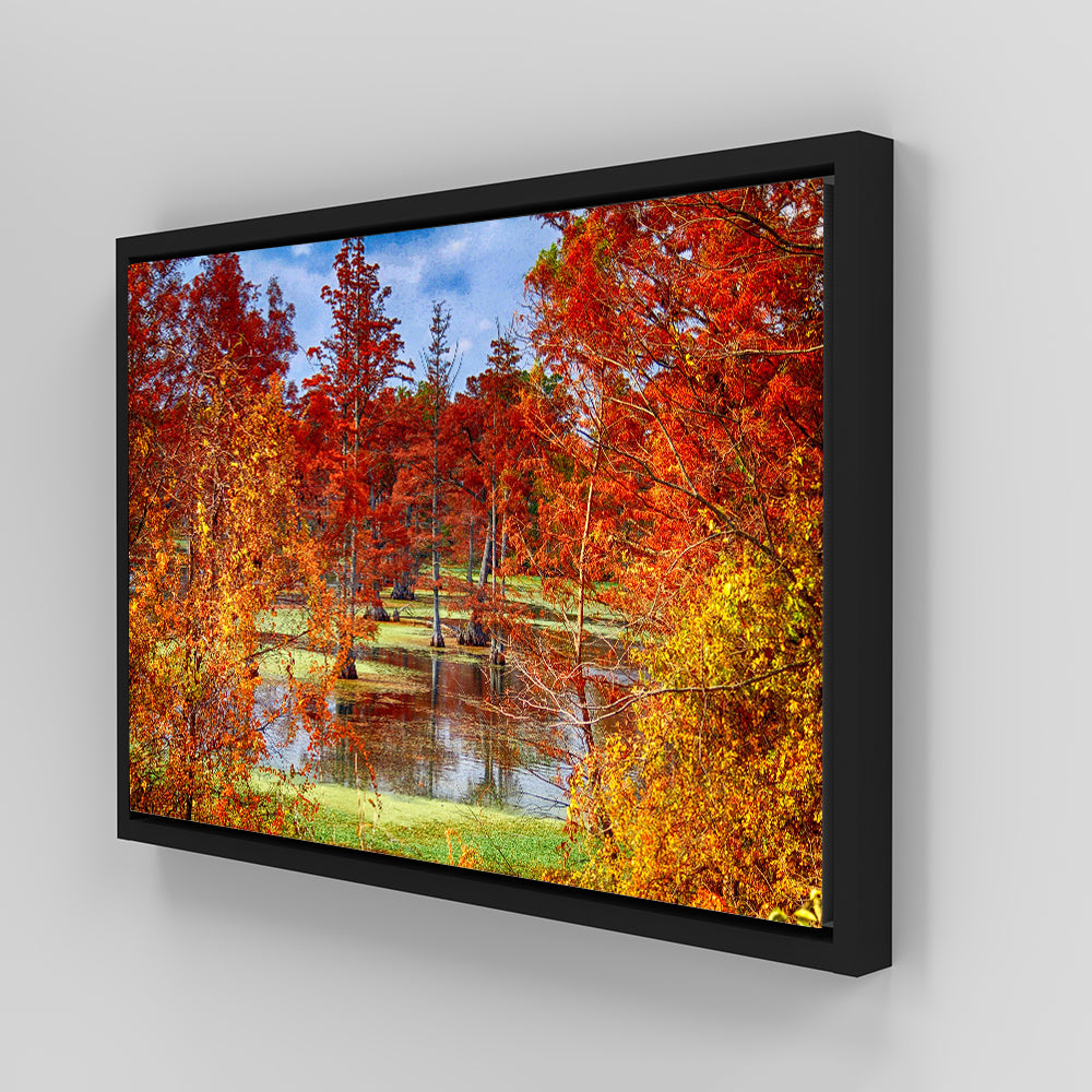 Stunning Lake Conway Cypress Trees Wall Art for Your Home Decor