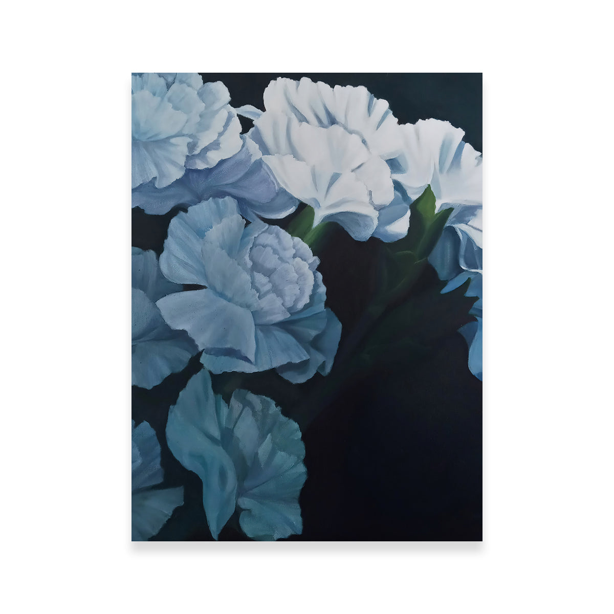 Stunning White Carnations Wall Art for Home Decor