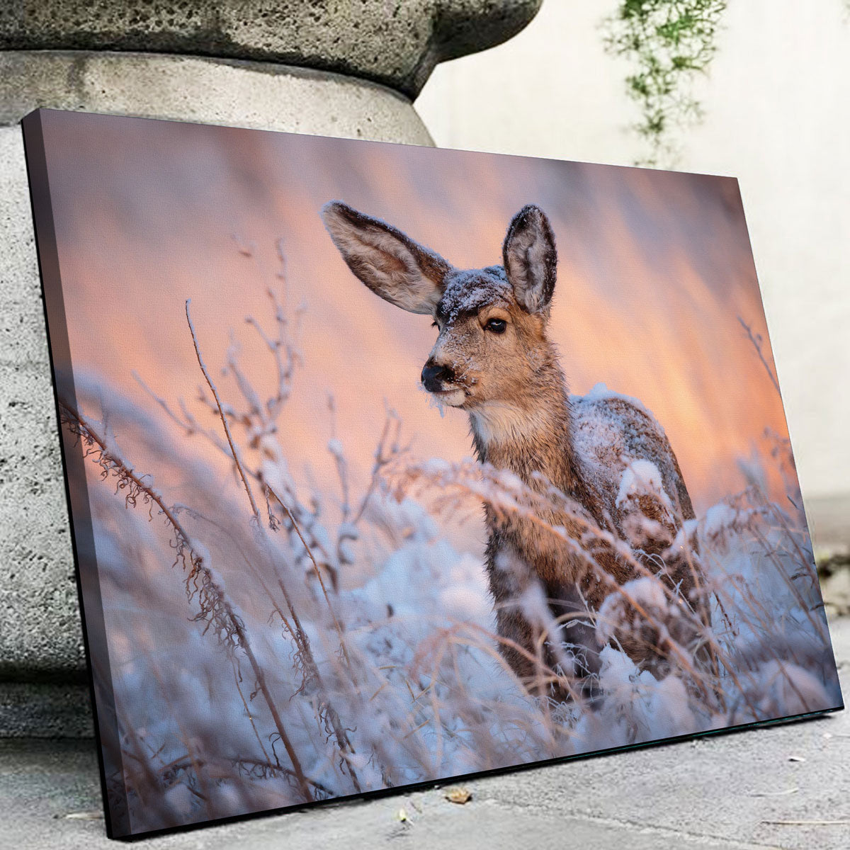 Stunning Colorado Doe Wall Art for Your Home Decor