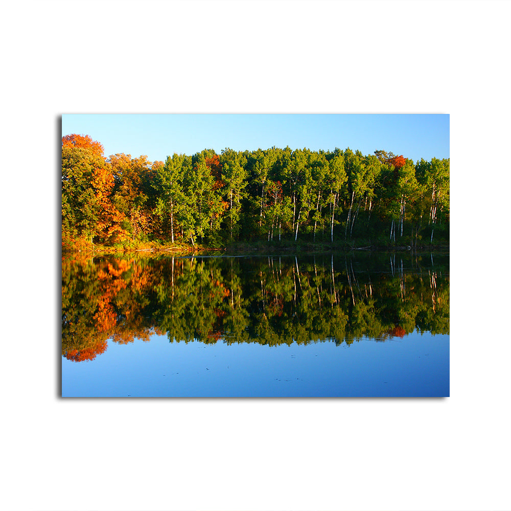Stunning Kettle Moraine State Forest Wall Art for Home Decor