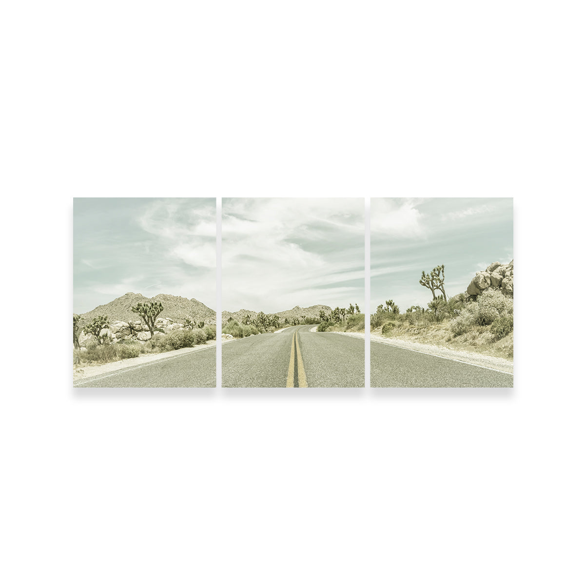 Stunning Joshua Trees Park Boulevard Wall Art by Melanie Viola