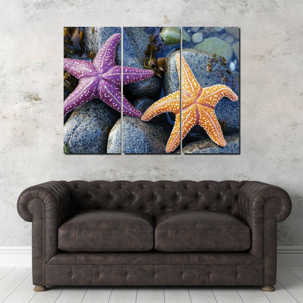 Vibrant Colorful Starfishes Wall Art for Stunning Decor