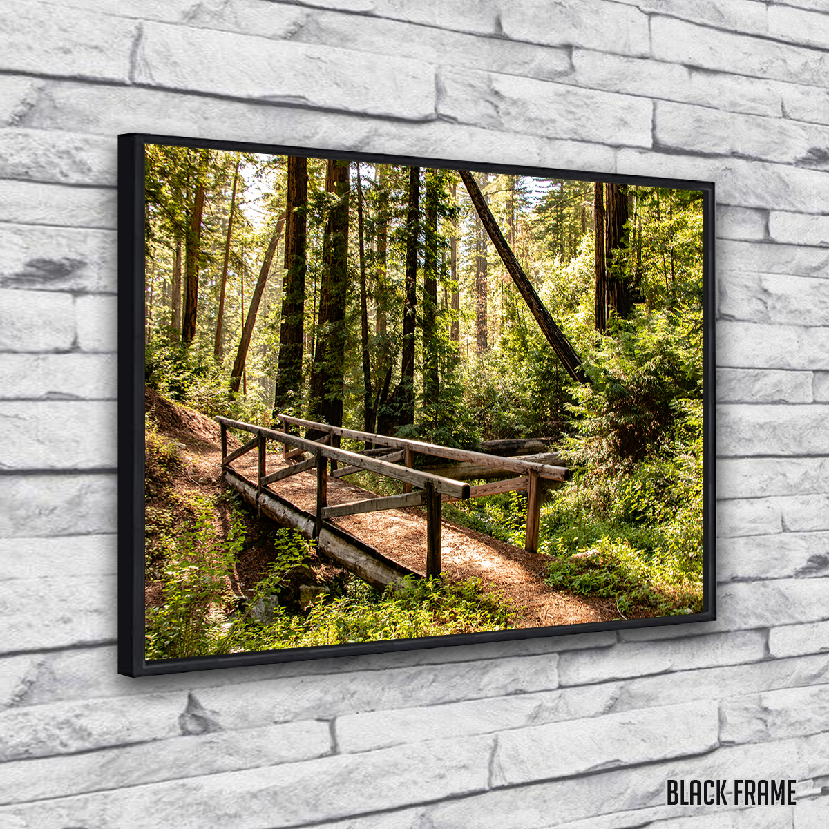 Stunning Ewoldsen Trail Bridge Wall Art by Kyle Sherry