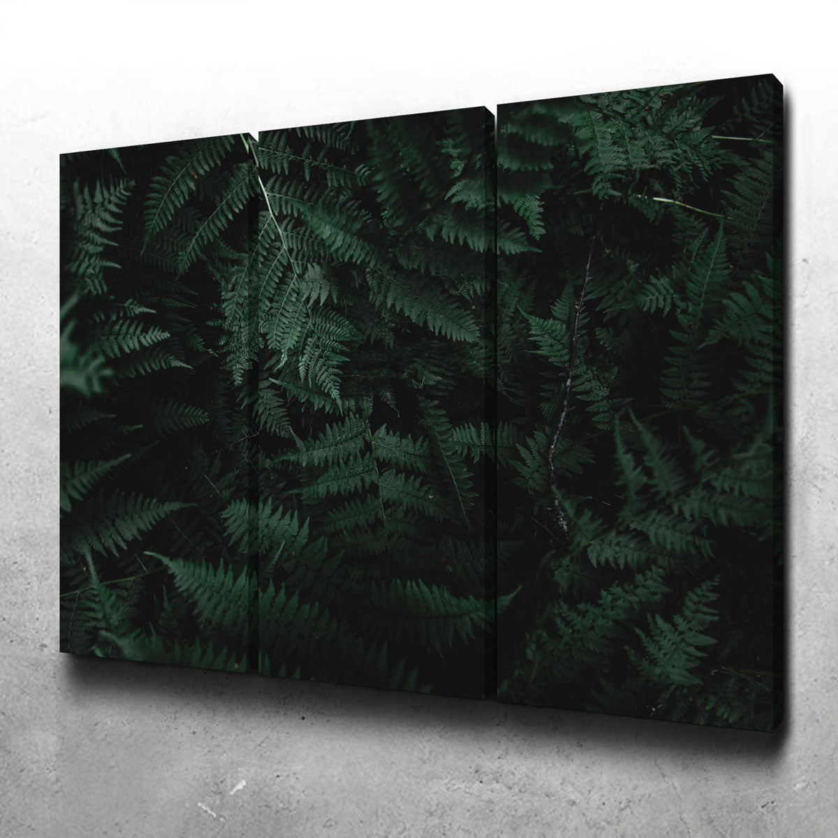 Stunning Ferns Wall Art by Lucas Moore