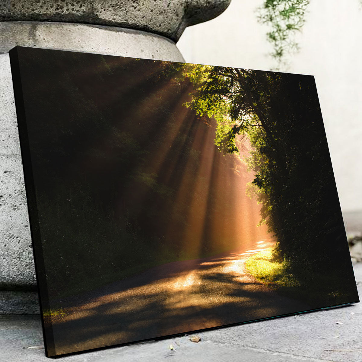 Stunning Morning Rays Wall Art by Lucas Moore