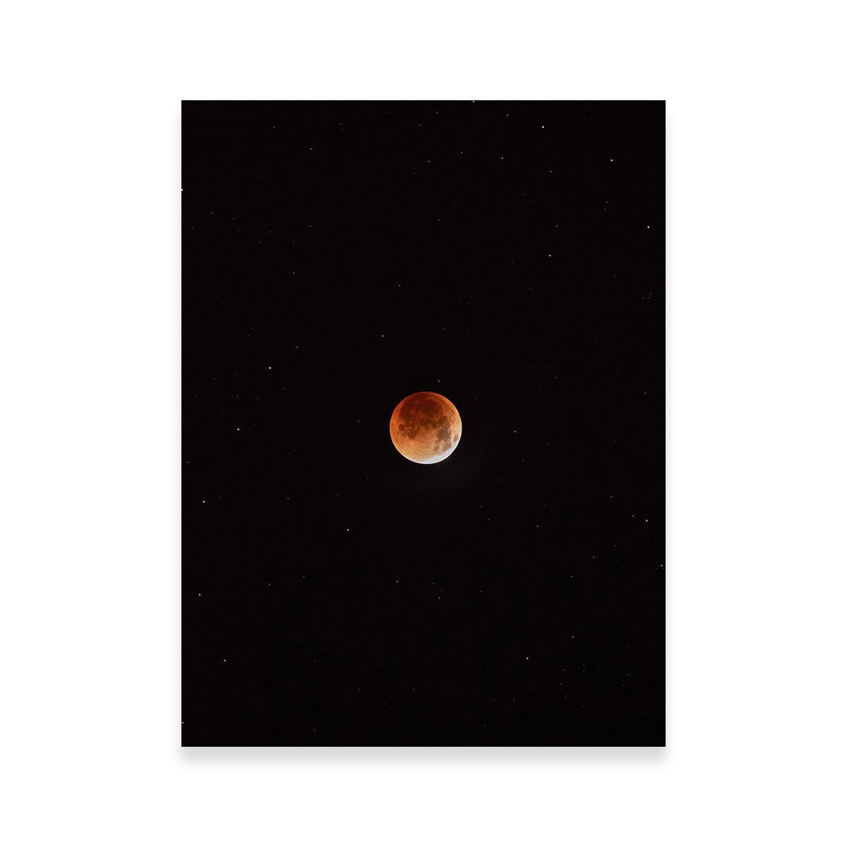 Enchanting Moon in the Shadow Wall Art by Sofia Leite Fonseca