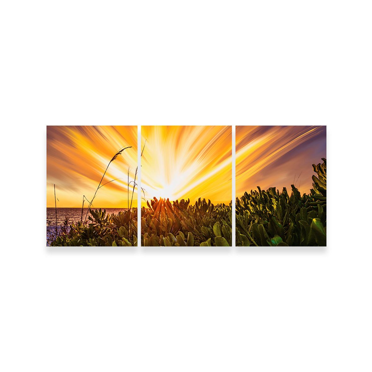 Stunning Exploding Sunset Wall Art by Eileen Rollin