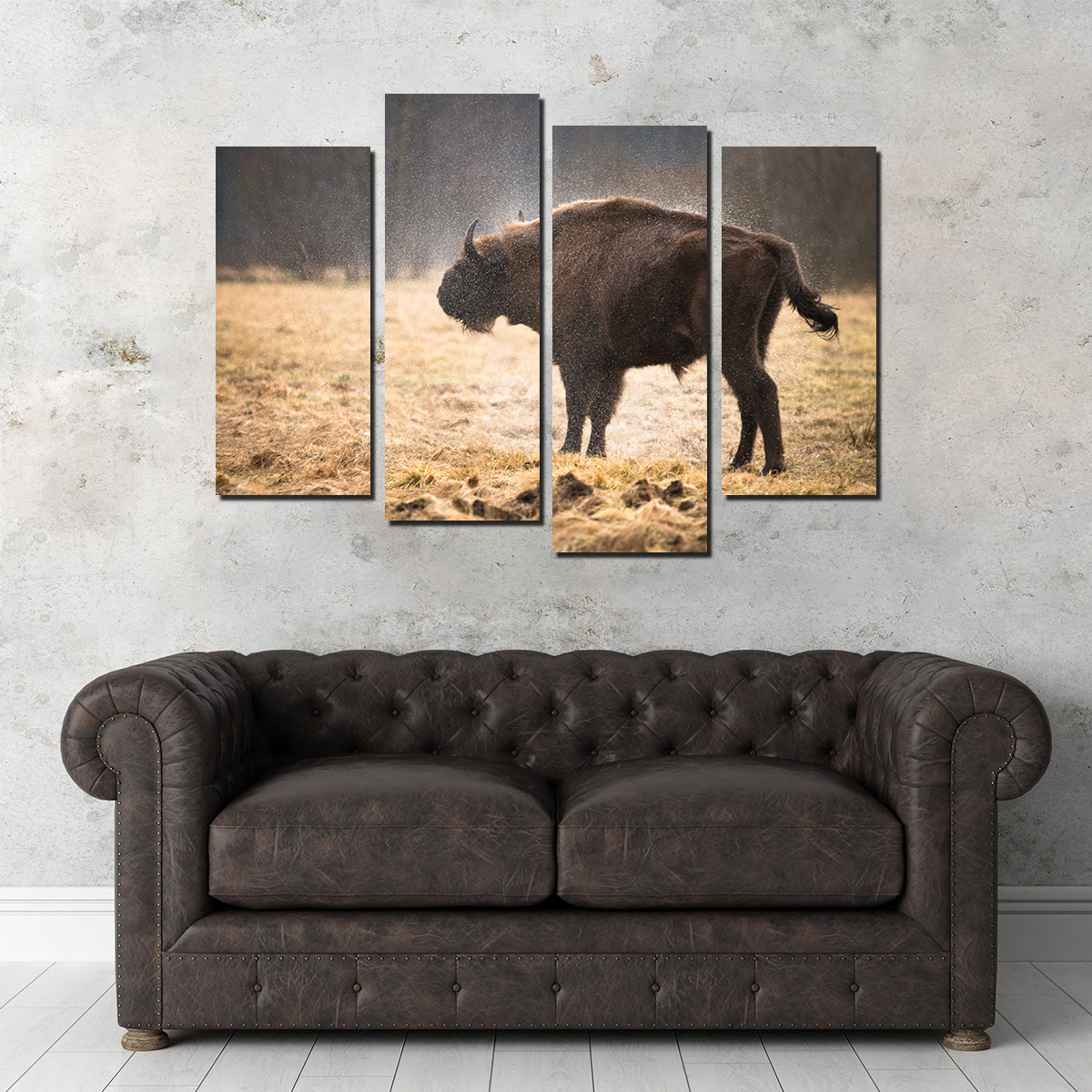 Stunning Wild Bison Shaking off Rain Wall Art for Home Decor