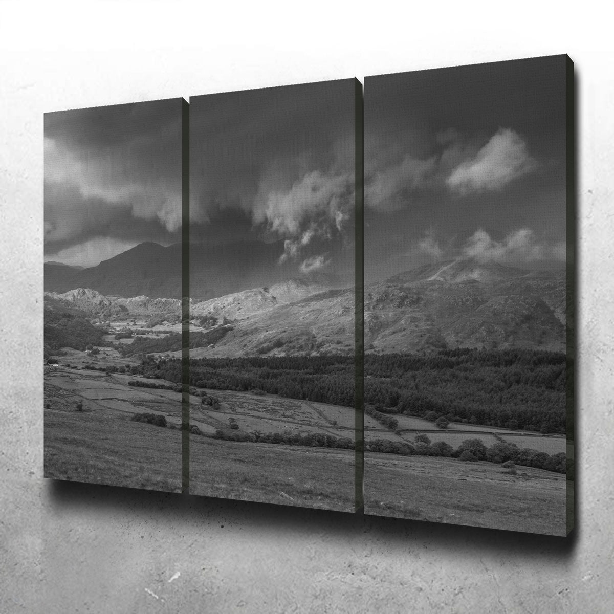 Stormy Fields Exquisite Wall Art by Mike Cotton