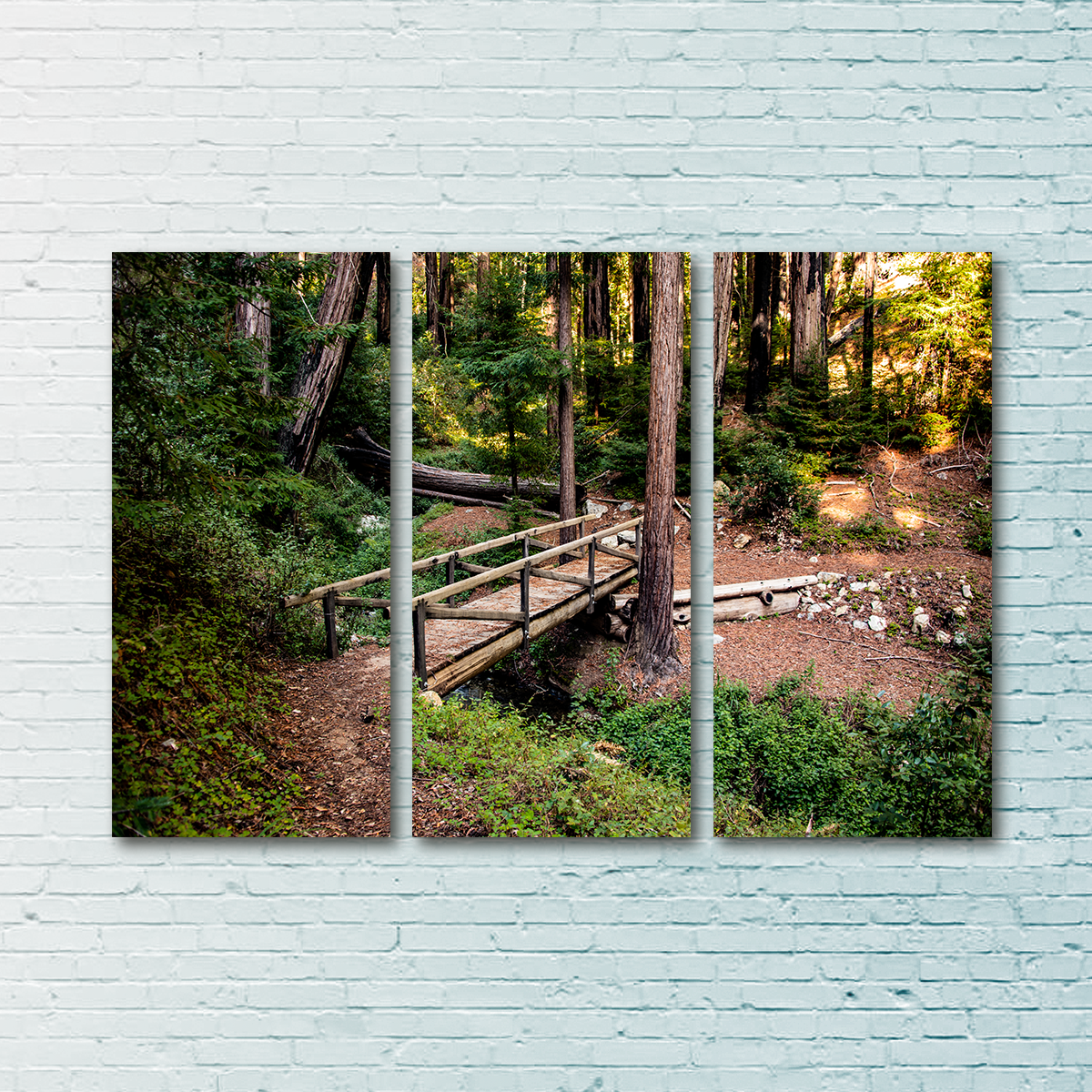 Stunning Ewoldsen Loop Bridge Wall Art by Kyle Sherry